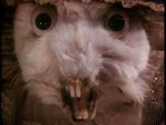 Still 2