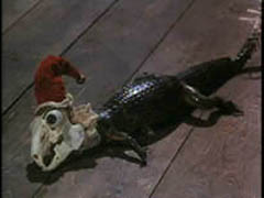 Still 7