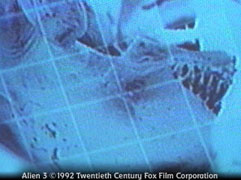Alien within Ripley...