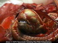 The little alien