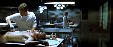 They are still alive...