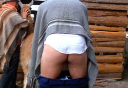 Imitating a sexual act with an animal...