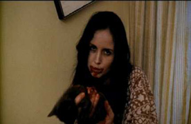 Poor kitty...