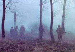 Walking in the fog...