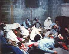 Cell of zombies...