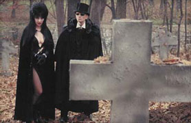 A graveyard...
