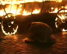 Still 3