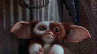 Poor creature...