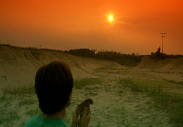Nice sunset...