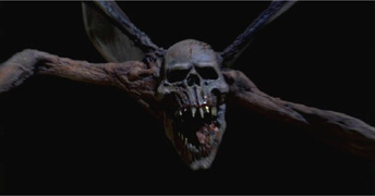 Strange creature of the night...