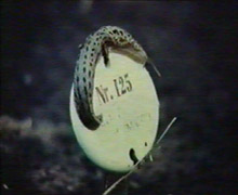 Still 2