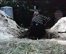 Still 3