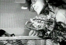 Still 3