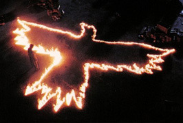 The crow...
