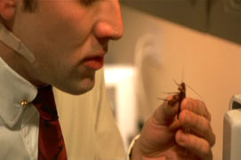 Eating the cockroach...