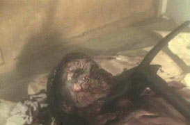 Still 6