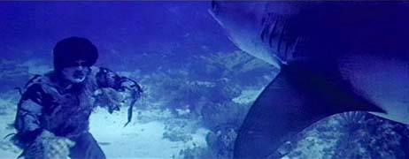 Zombie fights the shark underwater!
