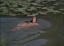 Swimming in the pool...