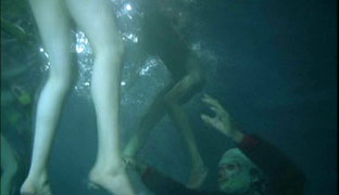 Catching the legs... ;)