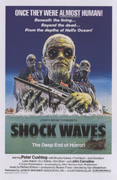 Shock Waves Poster