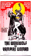 Werewolf Shadow Poster 1